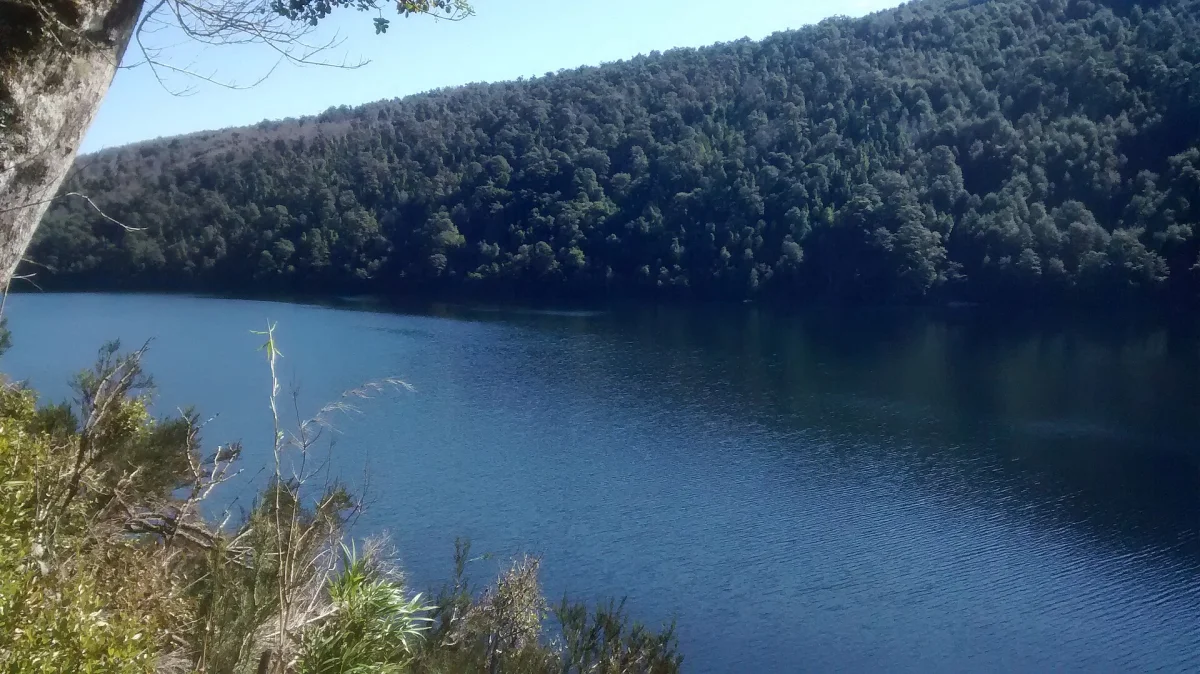Parque Nacional Huerquehue — foto 2