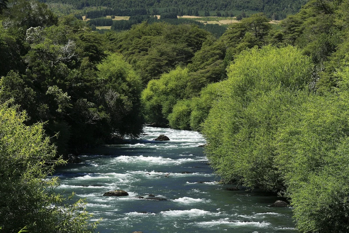 La Araucanía: bajan a 4.500 los aislados y Senapred cambia alertas