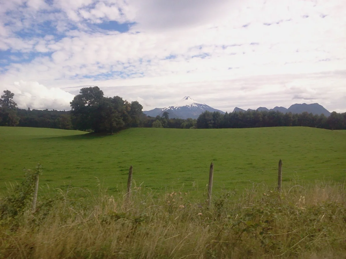 Villarrica: 317 familias agricultoras reciben bono de emergencia por el temporal